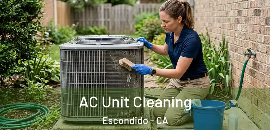  AC Unit Cleaning Escondido - CA